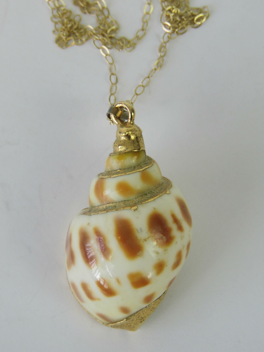 A gold plated shell on 9ct gold fine link chain.