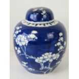 A Chinese blue and white ovoid ginger jar and cover with hand painted prunus decoration, 19.