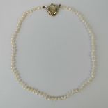 A 9ct gold and pearl necklace,