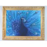 Oil on canvas; a contemporary study of a peacock in blue, signed Polly Hodges lower right,