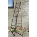 A vintage Continental eleven rung wooden vine ladder, 273cm in length, for decorative purposes only.