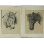 A pair of fine quality early 20th century pencil sketches being the head of a horse and front