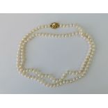 A single long strand of pearls having 18ct gold clasp,