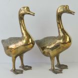A large and heavy pair of brass geese, each standing 36cm high.