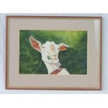 Watercolour; study of a goat, signed lower left Bart O'Farrell (British, 1941-2017), 30 x 46cm,