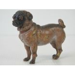 A 19th century Austrian cold painted bronze of a pug dog, 6cm high.