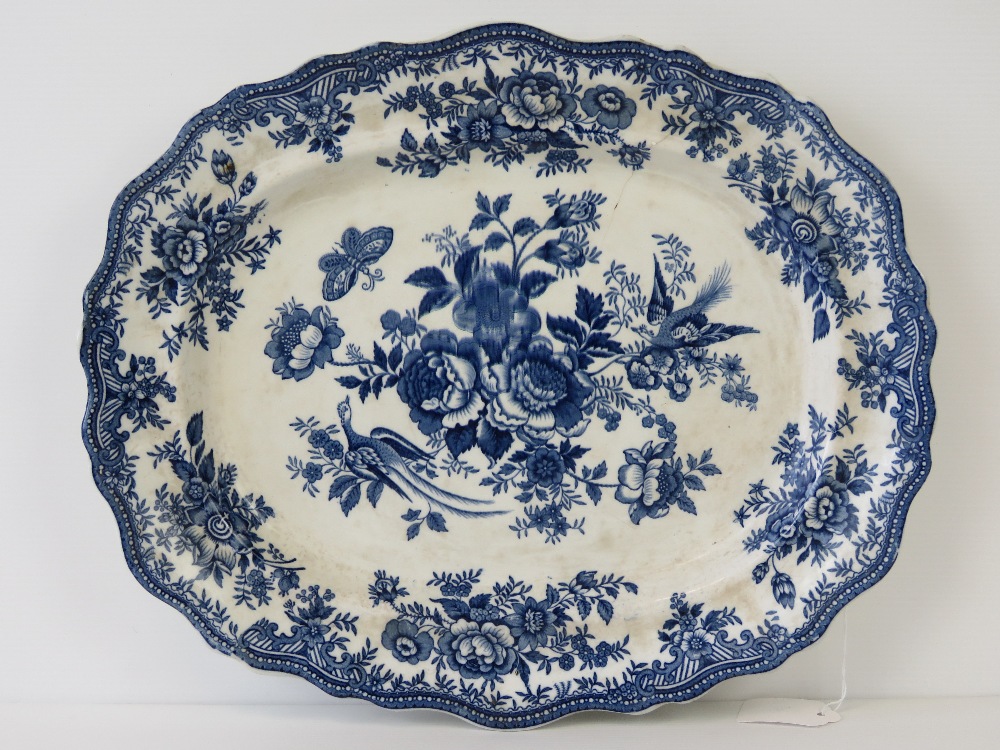 A blue and white Adderleys 'Asiatic Pheasants' meat plate, 39cm wide.