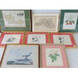 A quantity of assorted floral prints, cartoons and maps.