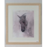 Limited edition print; study of a horses head in full bridle, 250/350,