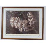 Print; study of owls, limited edition 59