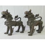A fine pair of bronze fo temple dogs each ornately cast and standing 31cm high x 30cm in length.