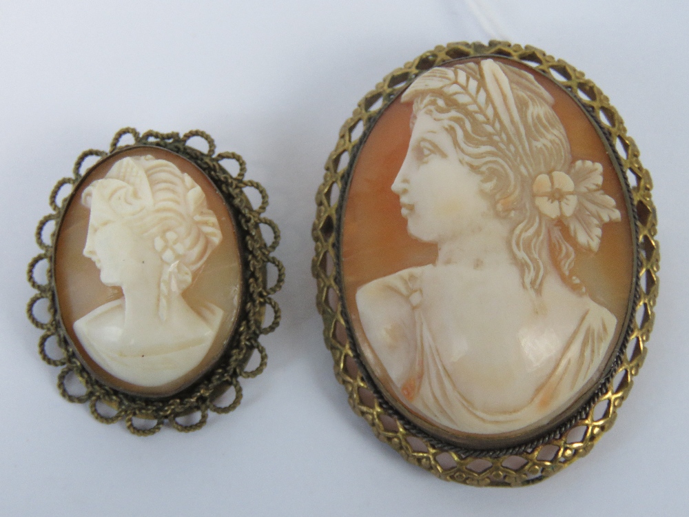 Two carved shell cameo brooches in gilt metal frames, each being a female portrait,