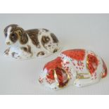 Two Royal Crown Derby Collectors Guild paperweights; 'Scruff' 9cm wide, and 'Puppy' 9cm wide,