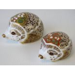 Two Royal Crown Derby hedgehog paperweights 'Signature edition of 1500 for Goviers of Sidmouth';