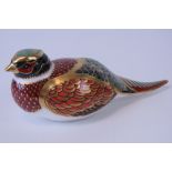 A Royal Crown Derby Collectors Guild paperweight; 'Woodland Pheasant',