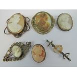 Six vintage carved shell cameo brooches.