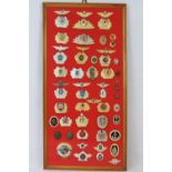 A collection of Russian USSR badges mounted on board, fifty-five items.