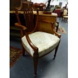 A PAIR OF GOOD QUALITY ADAMS STYLE SATINWOOD ARMCHAIRS.