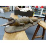 TAXIDERMY. AN ANTIQUE SMALL ALLIGATOR ON WOODEN BASE.