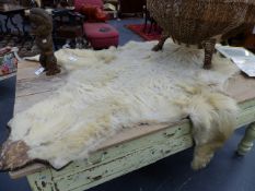 TAXIDERMY. A LARGE POLAR BEAR SKIN RUG WITH BLACK CLOTH LINING.