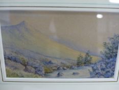 FIVE 19th/20th.C. LANDSCAPE WATERCOLOURS OF VARYING SIZES, LARGEST 24 x 17cms. (5)