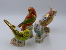 A ROYAL CROWN DERBY PAPERWEIGHT. COCKATOO, 196/2500, LORIKEET, GREEN BUDGERIGAR, SKY BLUE