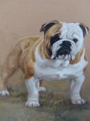 JUNE WODDRIDGE (20th.C.) (ARR) TWO PORTRAITS OF BULLDOGS GEORGINA AND SALLY, SIGNED CHALKS