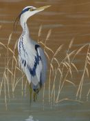 RALSTON GUDGEON (1910-1984) SCOTTISH (ARR) HERON IN REEDS, SIGNED GOUACHE. 45 x 30.5cms.