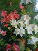 ENGLISH SCHOOL. A STILL LIFE OF AZALEAS, OIL ON CANVAS. 66 x 55cms.