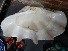A LARGE GIANT CLAM SHELL. W.68cms.