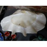 A LARGE GIANT CLAM SHELL. W.68cms.