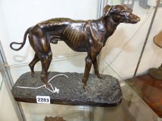 AN ANTIQUE BRONZE STUDY OF A WHIPPET BY P J MENE. W.27 x H.22cms.