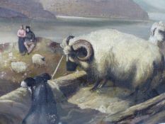 BRITISH NAIVE SCHOOL. SHEEPDOGS, SHEEP AND FIGURES IN A MOUNTAIN LANDSCAPE, OIL ON CANVAS. 48.5 x