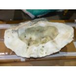 A LARGE ANTIQUE GIANT CLAM SHELL. W.74cms.