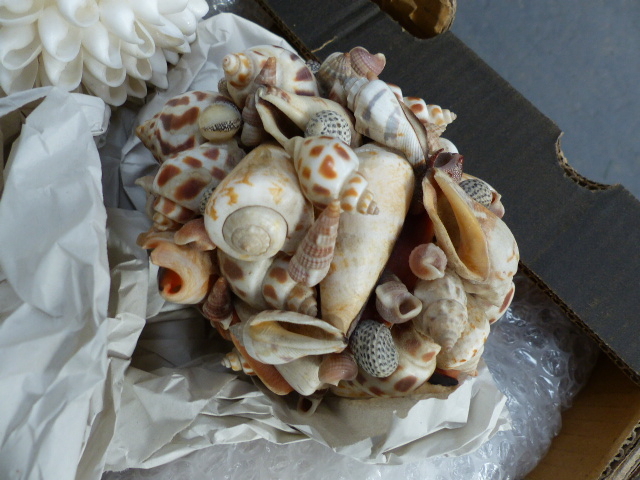 A SMALL COLLECTION OF EXOTIC SHELLS, CORAL,ETC. - Image 8 of 9