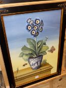 HUGH ROBSON (20th.C.) EIGHT STILL LIFE SIGNED WATERCOLOURS OF AURICULAS WITH BUTTERFLIES IN