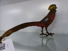 A COLD PAINTED AUSTRIAN BRONZE FIGURE OF A PHEASANT. L.17cms.