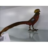 A COLD PAINTED AUSTRIAN BRONZE FIGURE OF A PHEASANT. L.17cms.