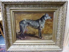 19th.C.ENGLISH SCHOOL. PORTRAIT OF A LURCHER, OIL ON PANEL SIGNED INDISTINCTLY. 17 x 21cms.