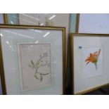 SIX VARIOUS PAINTINGS AND PRINTS OF FLORA.