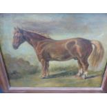 AN OIL ON CANVAS STUDY OF A HORSE.