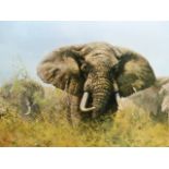 DAVID SHEPHERD. (1931-2017) THREE HAPPY JUMBOS, A PENCIL SIGNED LIMITED EDITION COLOUR PRINT. 49 x