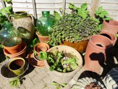 A GROUP OF VARIOUS GARDEN PLANTERS TO INCLUDE GLAZED EXAMPLES.