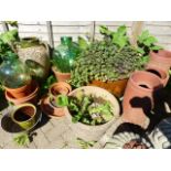 A GROUP OF VARIOUS GARDEN PLANTERS TO INCLUDE GLAZED EXAMPLES.