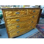 A LARGE 19th.C.SATINBIRCH AND ROSEWOOD BANDED CHEST OF TWO SHORT AND THREE LONG GRADUATED DRAWERS BY