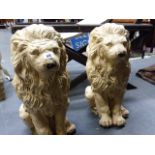 A PAIR OF OLD COMPOSITE STONE FIGURES OF SEATED LIONS, LATER PAINTED. H.54cms.