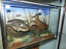 TAXIDERMY. AN ANTIQUE DISPLAY OF DUCK AND WOODCOCK IN NATURALISTIC SETTING.