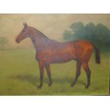 BASIL NIGHTINGALE (1864-1940) A PORTRAIT OF A HORSE, SIGNED AND DATED 1915, OIL ON CANVAS. 46 x
