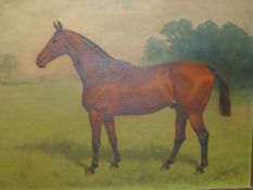 BASIL NIGHTINGALE (1864-1940) A PORTRAIT OF A HORSE, SIGNED AND DATED 1915, OIL ON CANVAS. 46 x