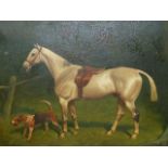 BASIL NIGHTINGALE. (1864-1940) PORTRAIT OF A SADDLED HUNTER AND HOUND, SIGNED AND DATED 1923, OIL ON